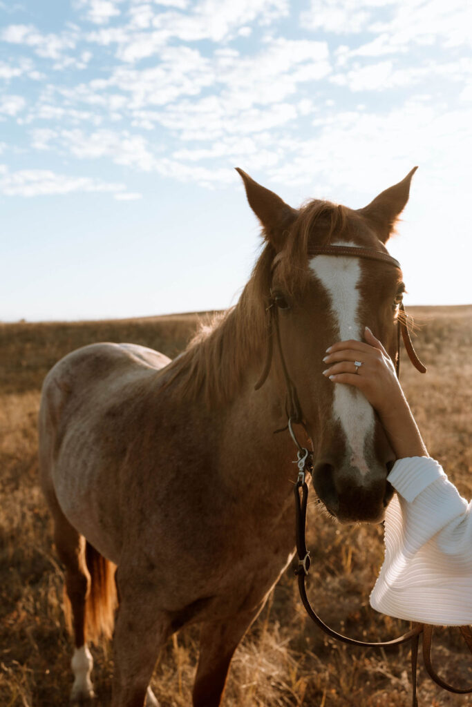 fiance petting her horse during her photoshoot